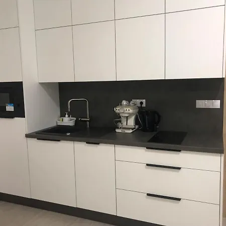 Moderni S Balkonem Brno-kralovo Pole Apartman