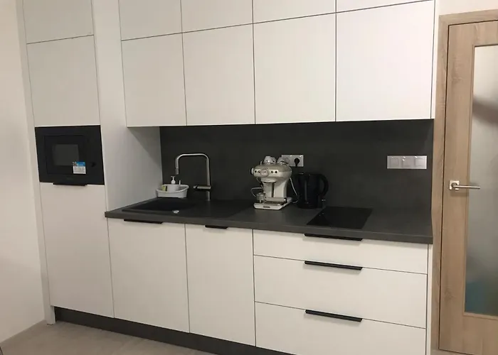 Moderni S Balkonem Brno-kralovo Pole Apartamento
